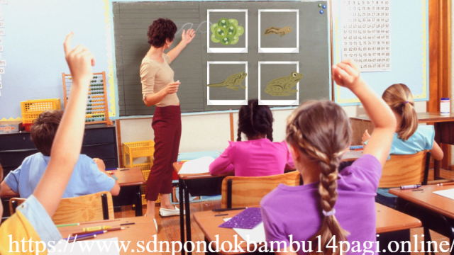 Mengajari Dunia Lewat Pendidikan